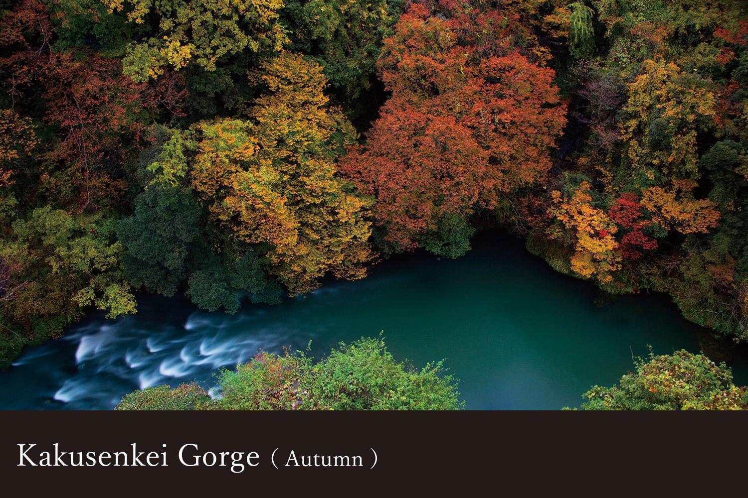 Yamanaka Onsen Kagari Kisshotei Экстерьер фото